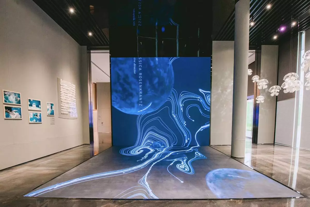 LED Dance Floor