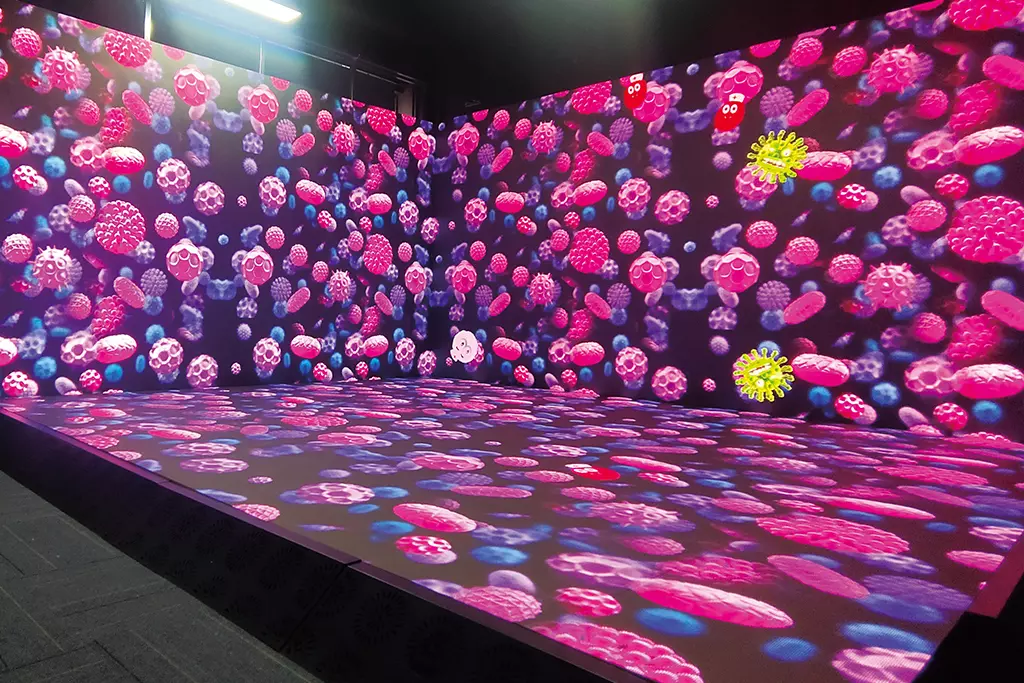 Creative LED Display Solutions